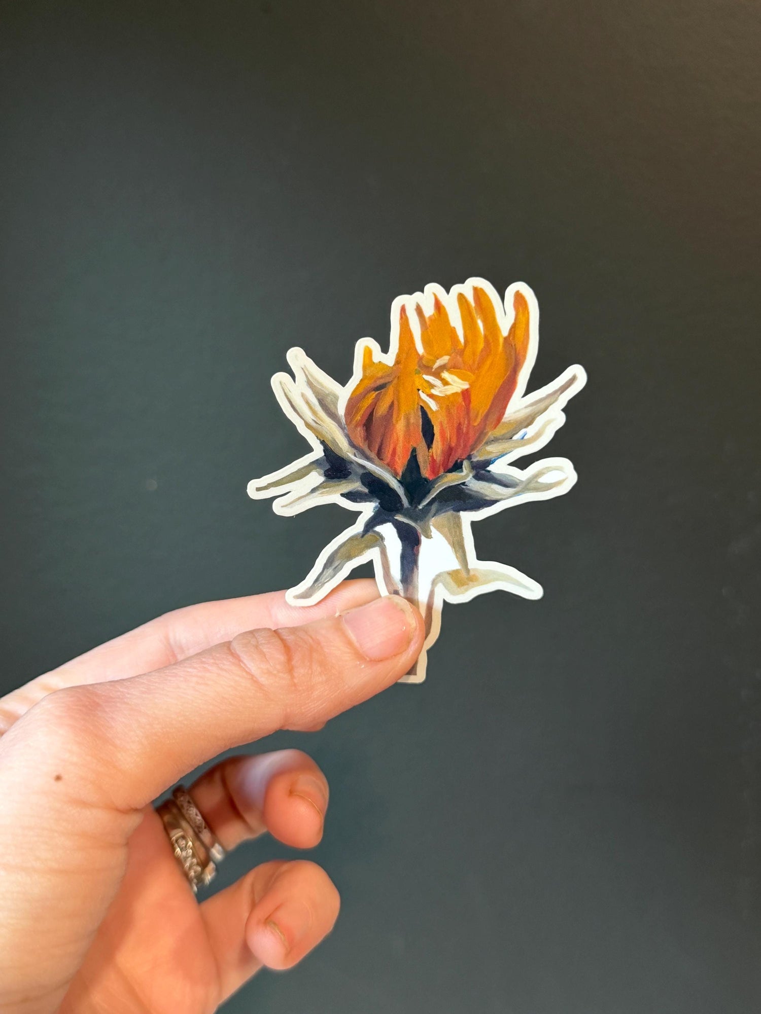 Vinyl stickers