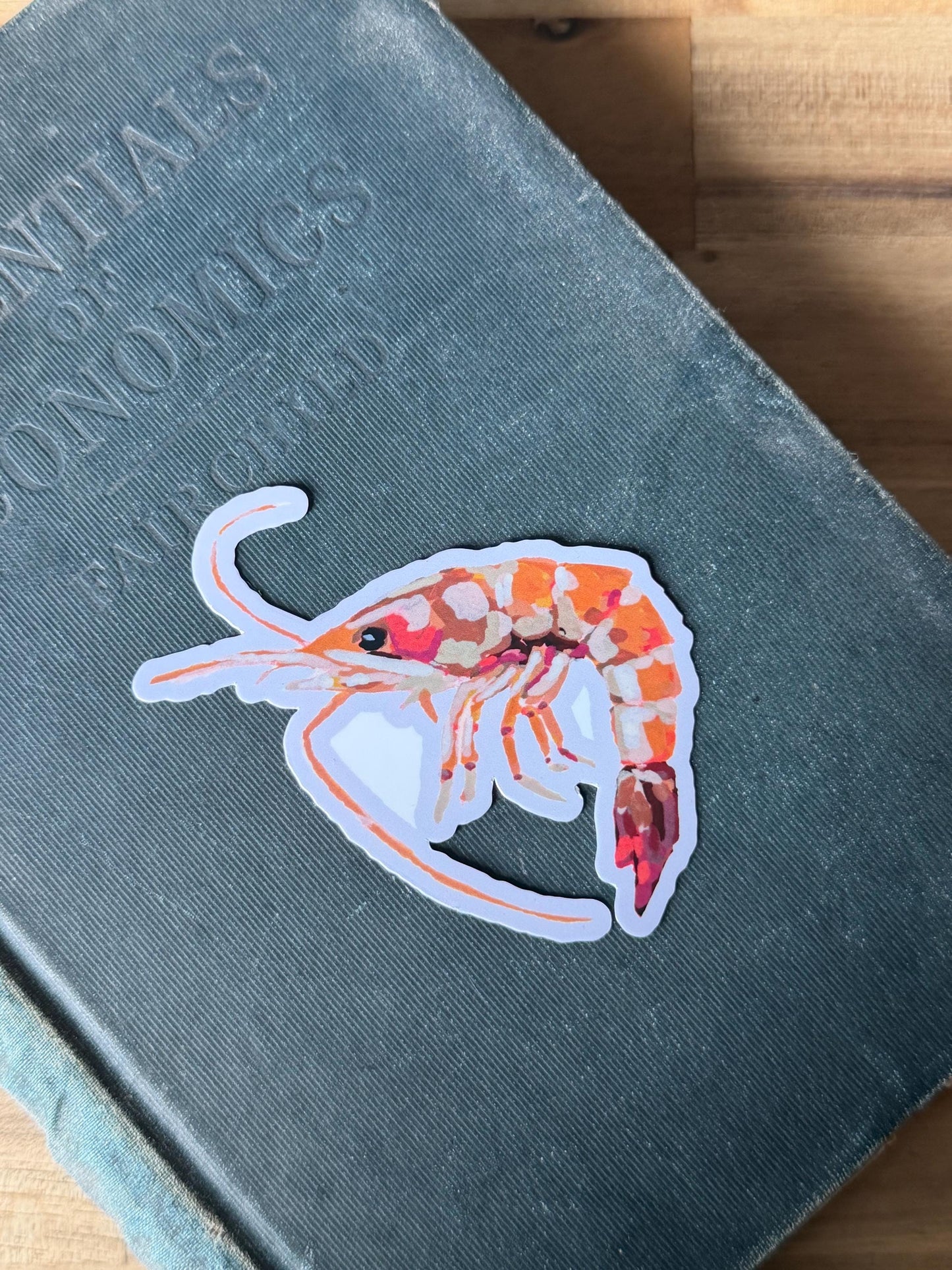Original Painted Shrimp Sticker | 3" Die Cut Vinyl Decal